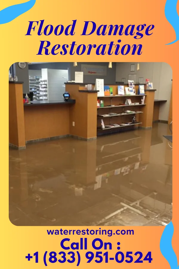 Flood Damage Restoration in Richmond, IL