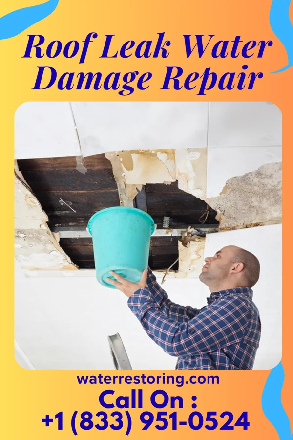 Roof Leak Water Damage Repair in Richmond, IL